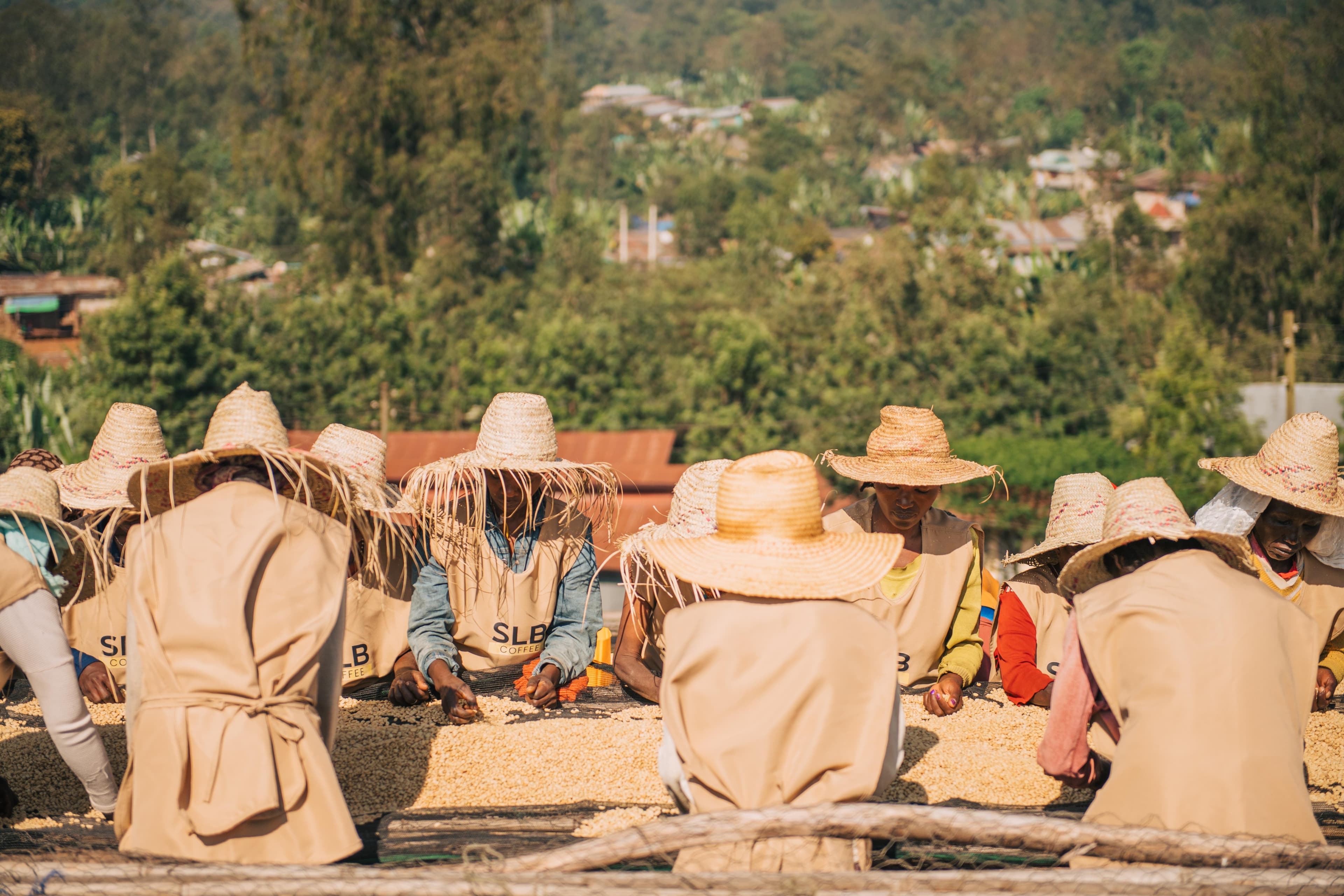 Community Empowerment