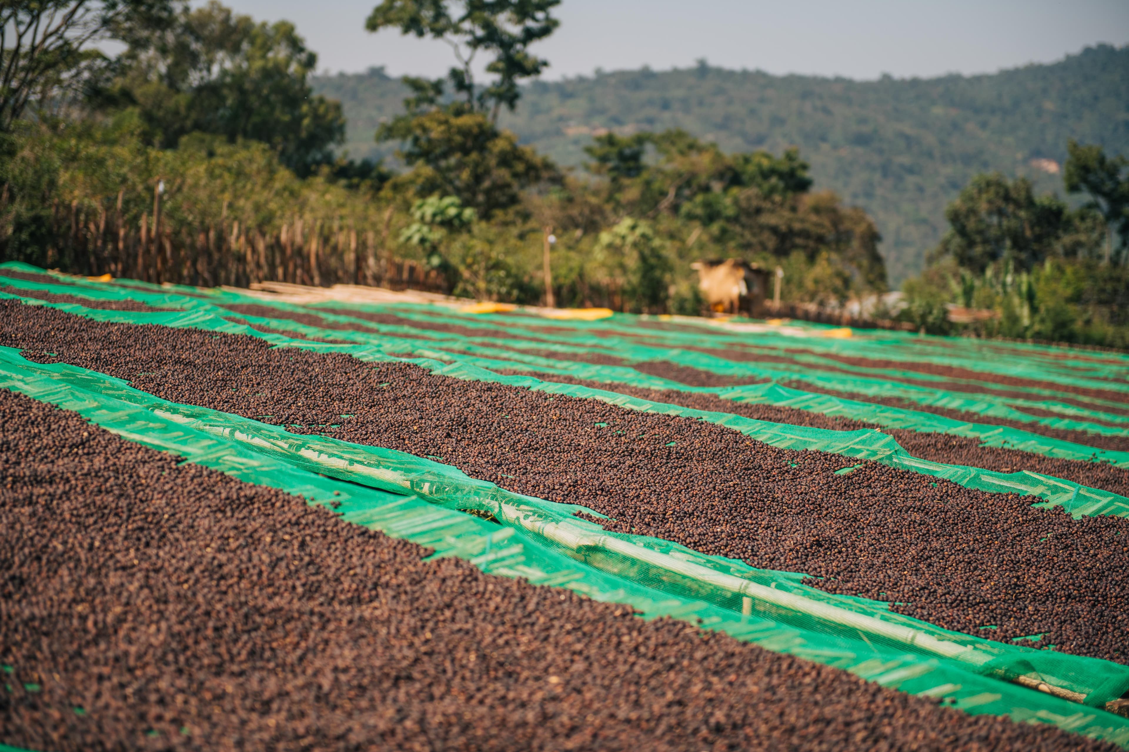 SLB Trading Philosophy